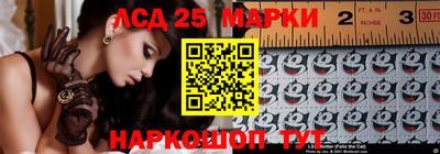 СК Шахты