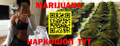 СК Шахты