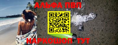 СК Шахты