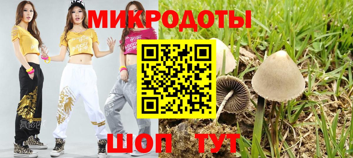 Галлюциногенные грибы Psilocybe  Вход с VPN  Галлюциногенные грибы Magic Shrooms  где продают наркотики  Алатырь 