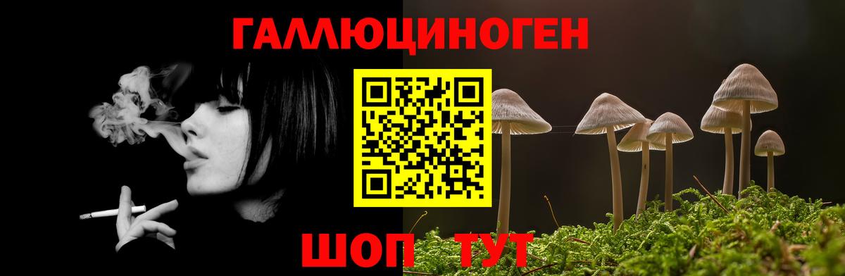 Псилоцибиновые грибы мицелий Алатырь